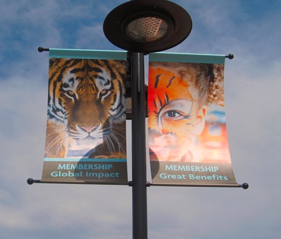 zoo banner